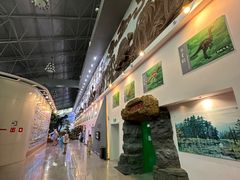 -嘉荫恐龙国家地质公园