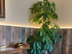-慢丽江·云南野生菌土鸡锅(付家庄店)