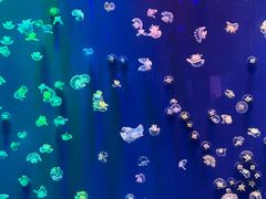 -成都浩海立方海洋公园