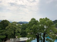 -逸廊大堂吧-下午茶·简餐-千岛湖自由洲际殿