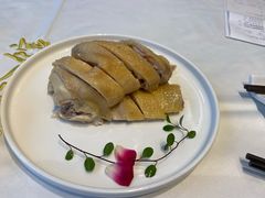 桃园散养三黄鸡-上海会馆(香港名都店)