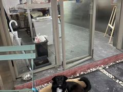 -欧邑咖啡小站 HLab Coffee