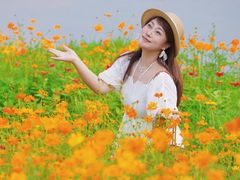 -洋湖国家湿地公园