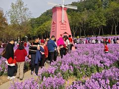 -顺峰山公园