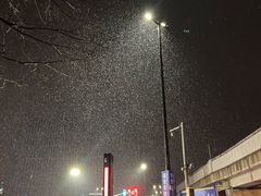 -上海嘉定喜来登酒店