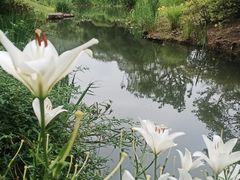 -无锡梅园公园