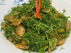 茴香苗拌河虾-百年家风·老馆子(东风店)