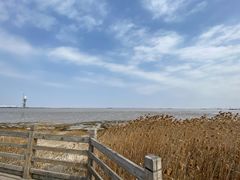 -上海吴淞炮台湾国家湿地公园