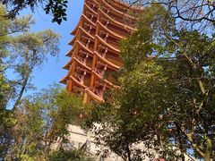 -缙云山景区