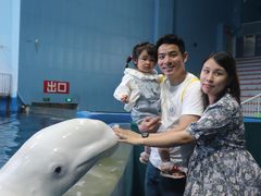 -福州罗源湾海洋世界旅游区