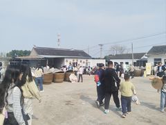 -苏州市吴中区光福窑上花果蜜饯厂