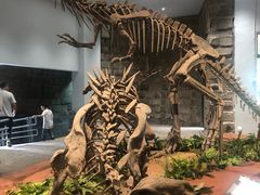 -自贡恐龙博物馆