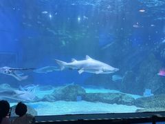 -海合安成都极地海洋公园