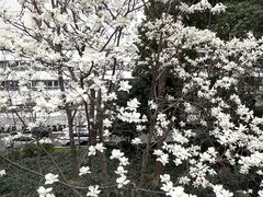 -人民广场