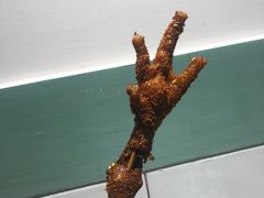 -型男美蛙烤牛蛙(南长街店)