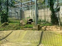 -上方山森林动物世界