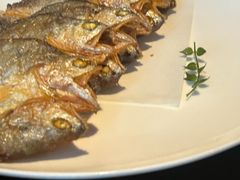 -甄御•海鲜新青岛菜(麦岛店)