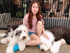 -TrueLove @ Neverland (Husky Cafe)