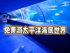 -太平洋海底世界