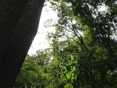 -上海佘山国家森林公园西佘山园