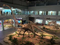 -自贡恐龙博物馆