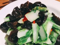 木耳小白菜-胖老汉椒麻鸡清真新疆菜(西御街店)