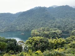 -鼎湖山风景区