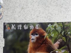 -武汉动物园