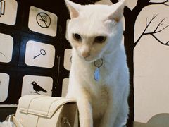 -Doors独立剧情密室(东门分店)