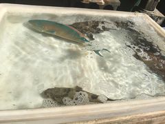 -拉威海鲜市场