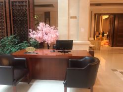 -天泰一站式婚宴·宴会厅