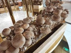 -椰子营·椰子鸡火锅(万象里店)