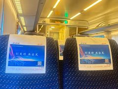 -平湖站