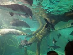 -多彩贵州城极地海洋世界