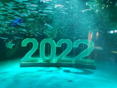 -上海海昌海洋公园