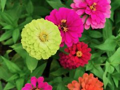 -白塘生态植物园