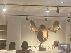 -Abercrombie & Fitch(三里屯太古里店)
