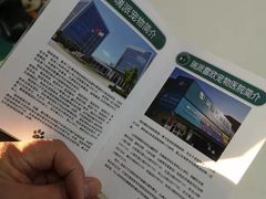 -瑞派雷欧宠物医院·24h夜诊·心脏骨科牙科·全科重症转诊中心(无影山店)
