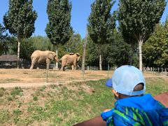 -石家庄市动物园