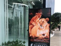 -罗红摄影艺术馆