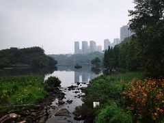 -重庆彩云湖湿地公园