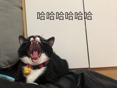 -好利来(光华中心店)