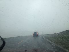 -德禄酸奶(莫家街店)