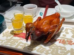 -大鸽饭(动物园店)