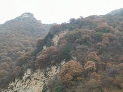 -少华山国家森林公园