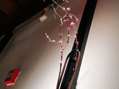 -小隐人家(乐松店)