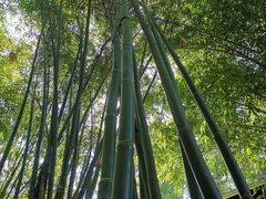 -英西峰林·洞天仙境