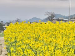 -花溪公园