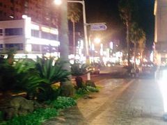 -宝健路步行街(Pedestrian Shopping Street)