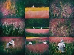 -汉长安城未央宫国家考古遗址公园